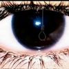 ashley_next_door_