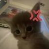 melanie_2902