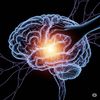 Brain Itch Scratched