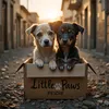 Little Paws Rescue