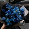 elina_ob2