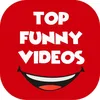 Top Funny Videos