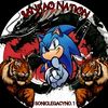 SonicSantaoNation