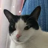 gabihtf90