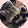 lilli67.67