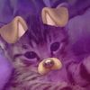 sofifi_85