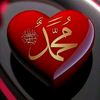 faruk.sheikh5246