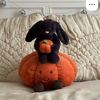 blueberry_bananabowl