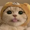 basma20707