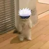 itsmrstealyomomma