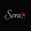 sorasoul_