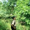 abiyounugraha