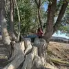 stomski.not_here