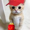yyc_sheryl33