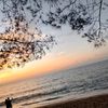 mass_nizar1