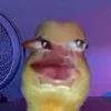 jstpaulen_