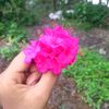 mst.atiya.katun