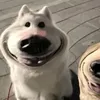 khadoanhnguheo