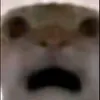 taomaidinh6