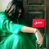toor.janan552