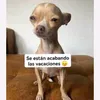 _.daniela111