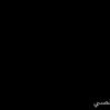 naal045