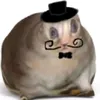 8_d_b_8