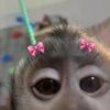 unknown_usera2o9