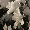 heedeungg1