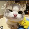 damia_0_o