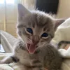 _roblxx2