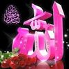 soheir.mohamed79