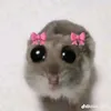 uuiithi8
