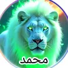 user4424094282091