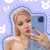 rose_r63