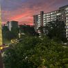 megatron_k1siao