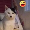 mwie.tiktok1