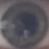 tobiasfr50