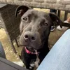 _silly.little.ears
