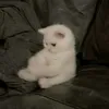 malak.mimi985