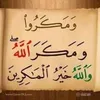 user312158051