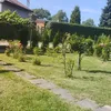 waldekszczecin