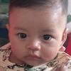 dimas.apitaik