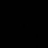 oamer06
