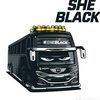 wsptrans001sheblack