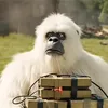 hxltiktok