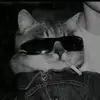 dalzyy73