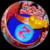 arman_g_7