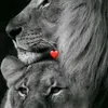 gm.mafya.ff