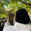js_8rk